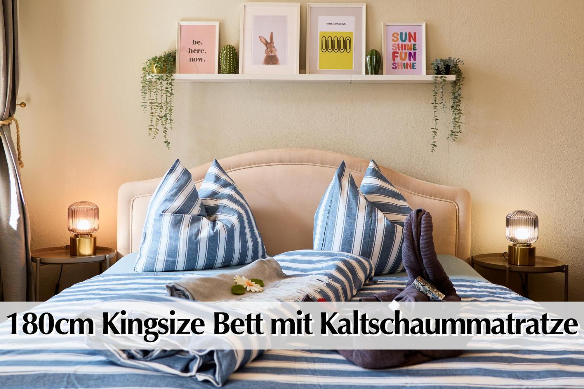 12 Fewos Im Jugendstilhaus Mit Aufzug, Terrasse, Kingsize-Bett, Smart-Tv, Etc Erfurt Værelse billede